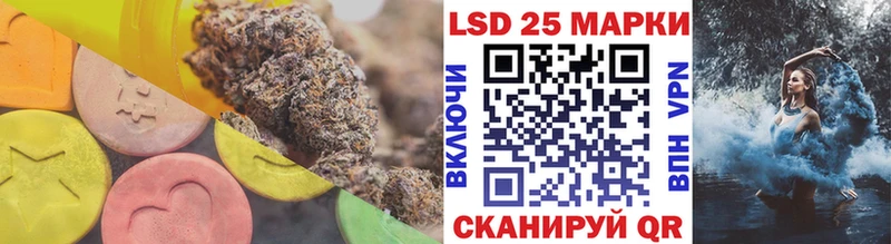 darknet телеграм  Нальчик  ЛСД экстази кислота 